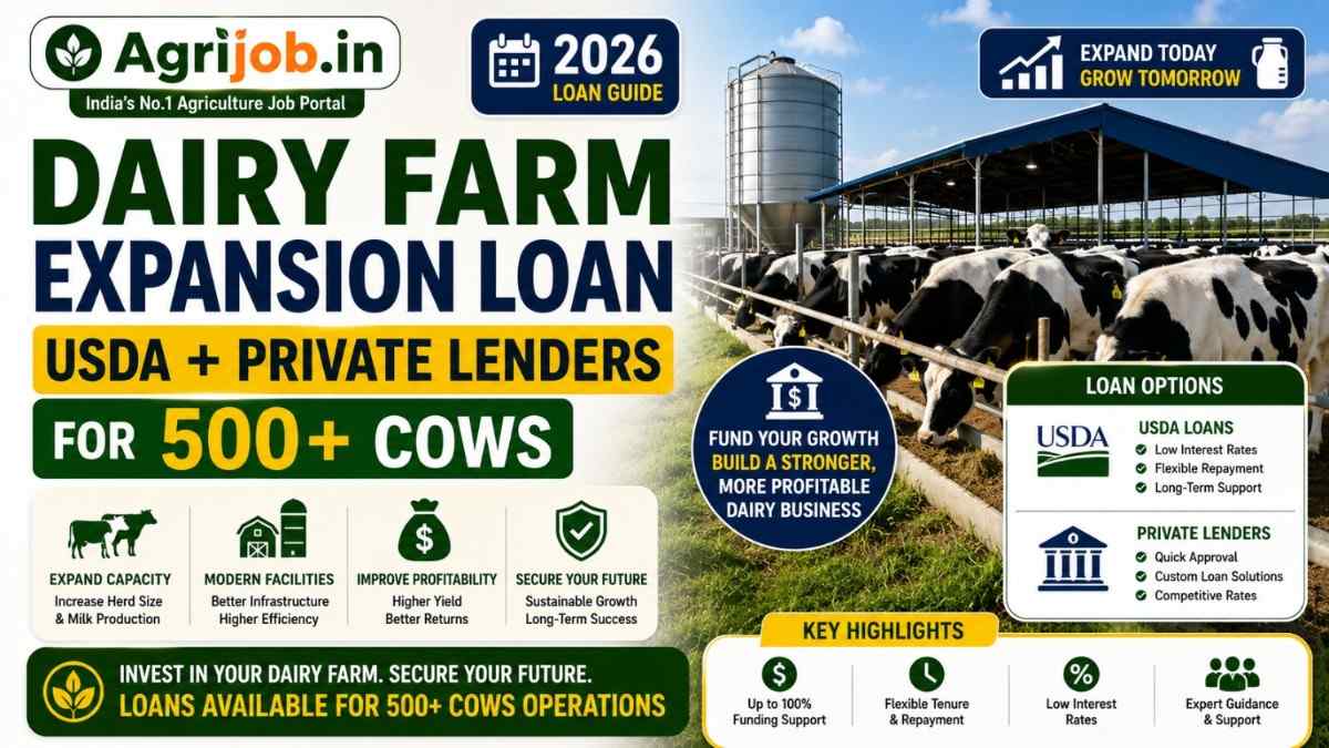 Dairy Farm Expansion Loan 2026 – USDA + Private Lenders for 500+ Cows