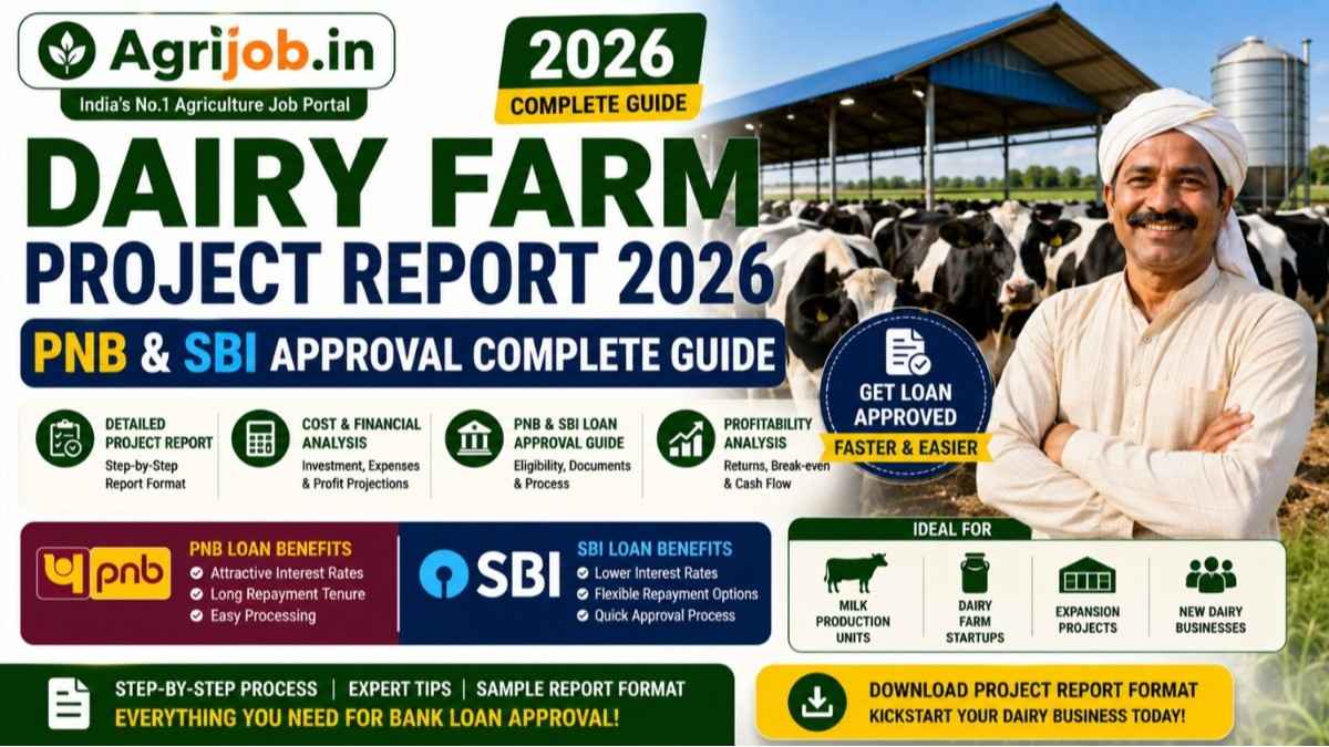 Dairy Farm Project Report 2026 – PNB & SBI Approval Complete Guide