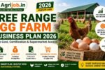 Free Range Egg Farm Business Plan 2026 – Setup Cost, Certification and Supermarket Access