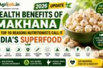 Health Benefits of Makhana 2026 – Top 10 Reasons Nutritionists Call It India's Superfood