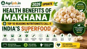 Health Benefits of Makhana 2026 – Top 10 Reasons Nutritionists Call It India's Superfood