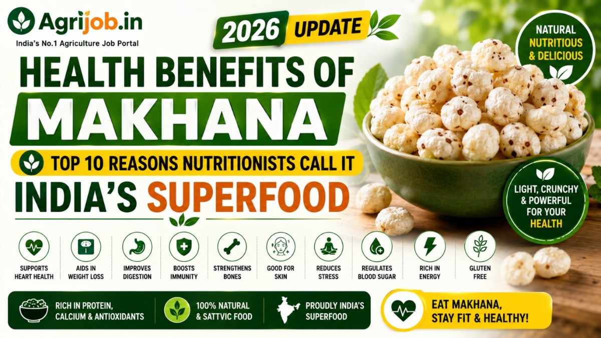 Health Benefits of Makhana 2026 – Top 10 Reasons Nutritionists Call It India's Superfood