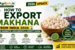 How to Export Makhana from India 2026 – Top Markets, Documents & Profit Guide