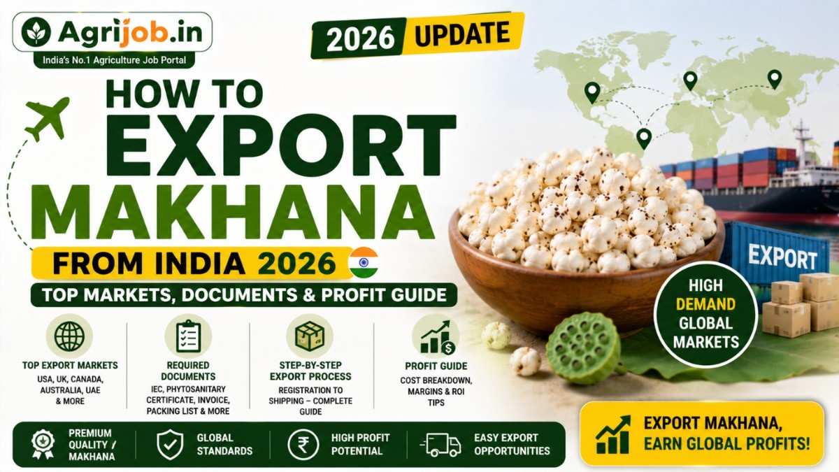 How to Export Makhana from India 2026 – Top Markets, Documents & Profit Guide