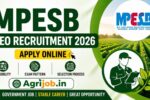 MPESB AEO Recruitment 2026 Apply Online, Exam Pattern & Selection Process