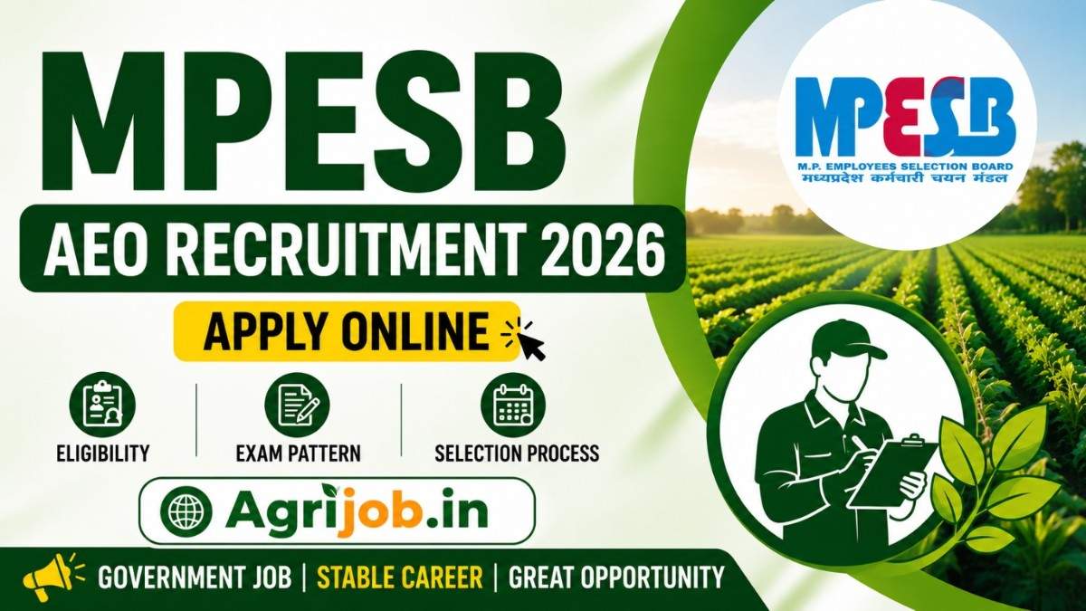 MPESB AEO Recruitment 2026 Apply Online, Exam Pattern & Selection Process