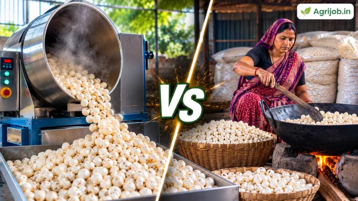 Makhana Popping Machine vs Manual – Cost, Yield & ROI Guide 2026