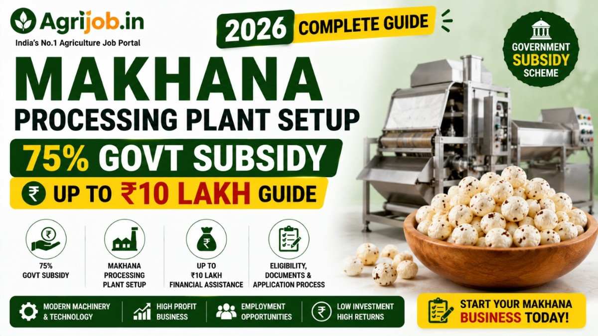 Makhana Processing Plant Setup 2026 – 75% Govt Subsidy, Rs.10 Lakh Guide