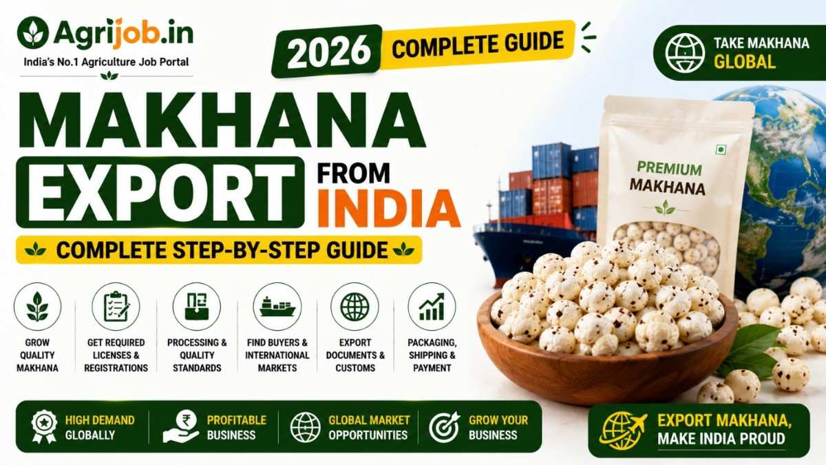 Makhana Export from India 2026 – Complete Step-by-Step Guide