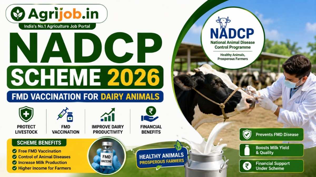 NADCP Scheme 2026 – Free FMD Vaccination & Dairy Benefit