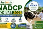 NADCP Scheme 2026 – Free FMD Vaccination & Dairy Benefit