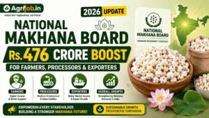 National Makhana Board 2026 – Rs.476 Crore Boost for Farmers, Processors & Exporters