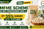 PMFME Scheme Fox Nut Processing 2026 – Get 35% Subsidy Up to Rs.10 Lakh