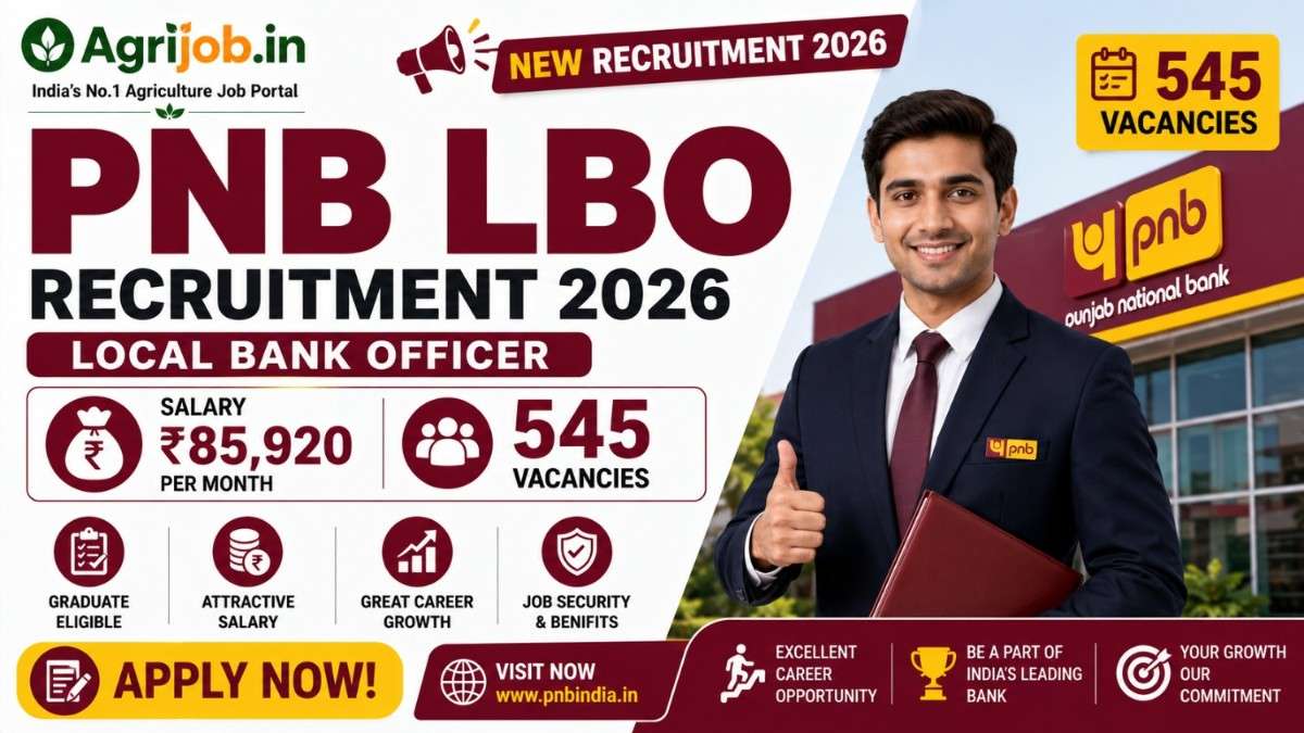 PNB LBO Recruitment 2026 – Rs.85,920 Salary, 545 Vacancies Apply Now
