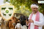 Pradhan Mantri Pashudhan Bima Yojana 2026 – 50% Subsidy, Premium & Apply Guide