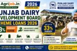 Punjab Dairy Development Board Scheme Loans 2026 – 33% Subsidy Guide