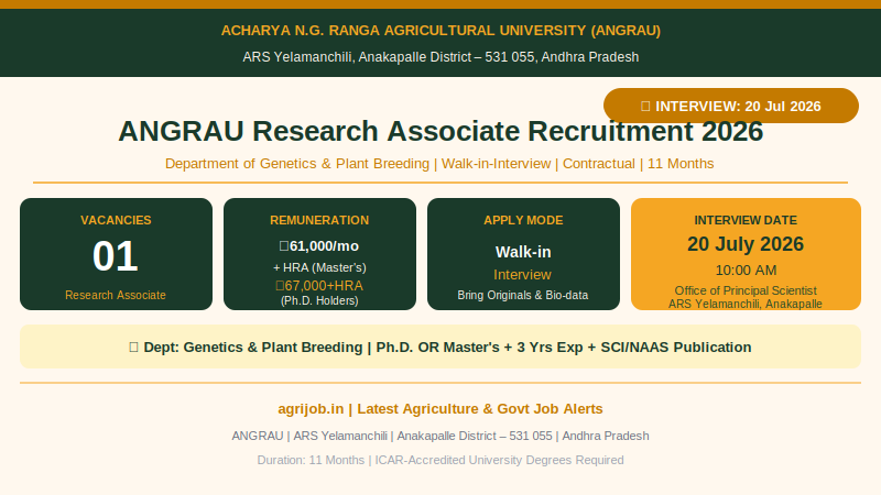 ANGRAU Research Associate Recruitment 2026 Vacancy Overview Infographic – agrijob.in