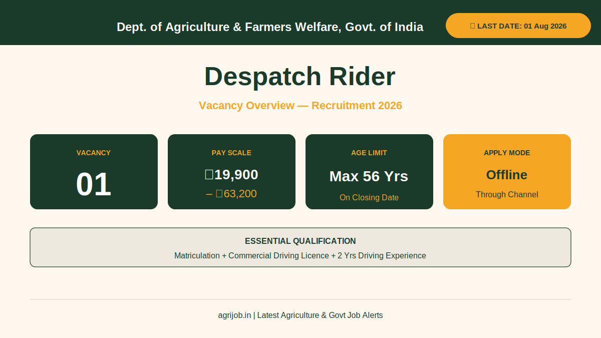 Despatch Rider Recruitment 2026 Vacancy Overview Infographic – agrijob.in
