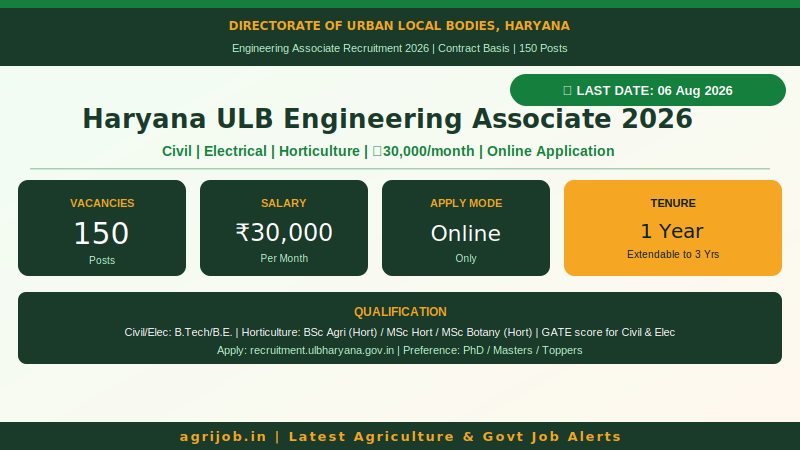 Haryana ULB Engineering Associate 2026 Vacancy Overview Infographic – agrijob.in