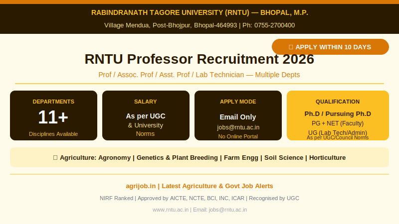 RNTU Professor Recruitment 2026 Vacancy Overview Infographic – agrijob.in