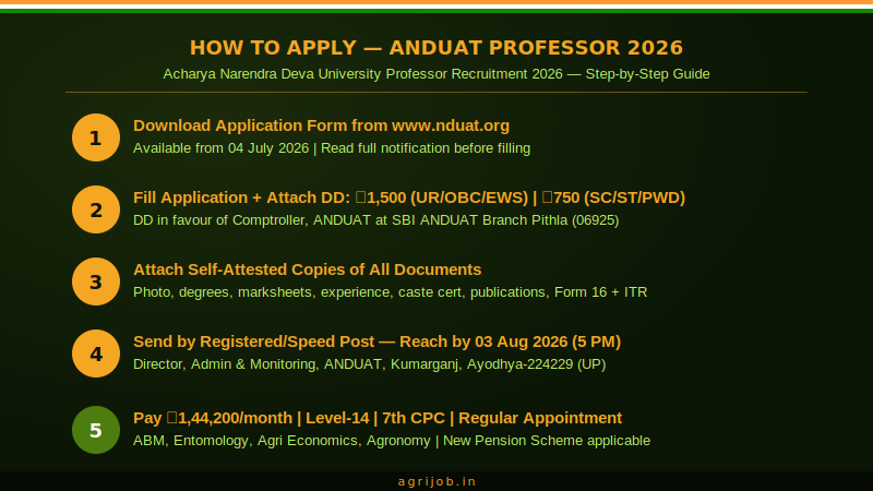 ANDUAT Professor Recruitment 2026 How to Apply Step Guide – agrijob.in