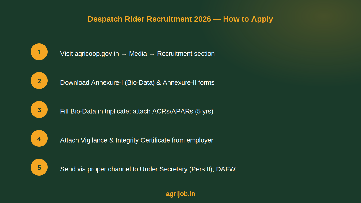 Despatch Rider Recruitment 2026 How to Apply Step Guide – agrijob.in