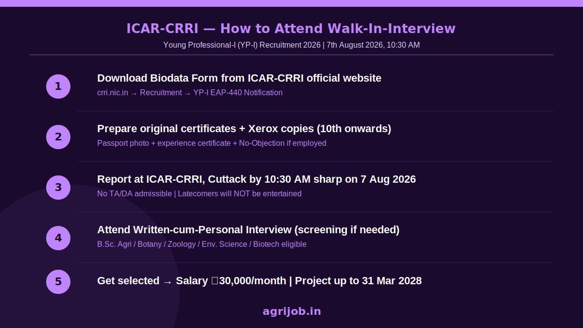 ICAR-CRRI Young Professional Recruitment 2026 How to Apply Step Guide – agrijob.in