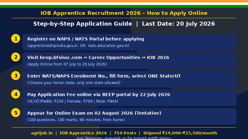 IOB Apprentice Recruitment 2026 How to Apply Step Guide – agrijob.in