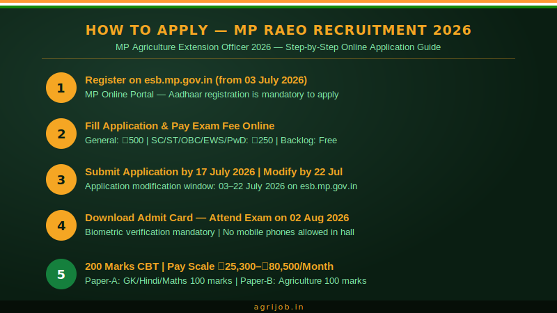 MP RAEO Recruitment 2026 How to Apply Step Guide – agrijob.in