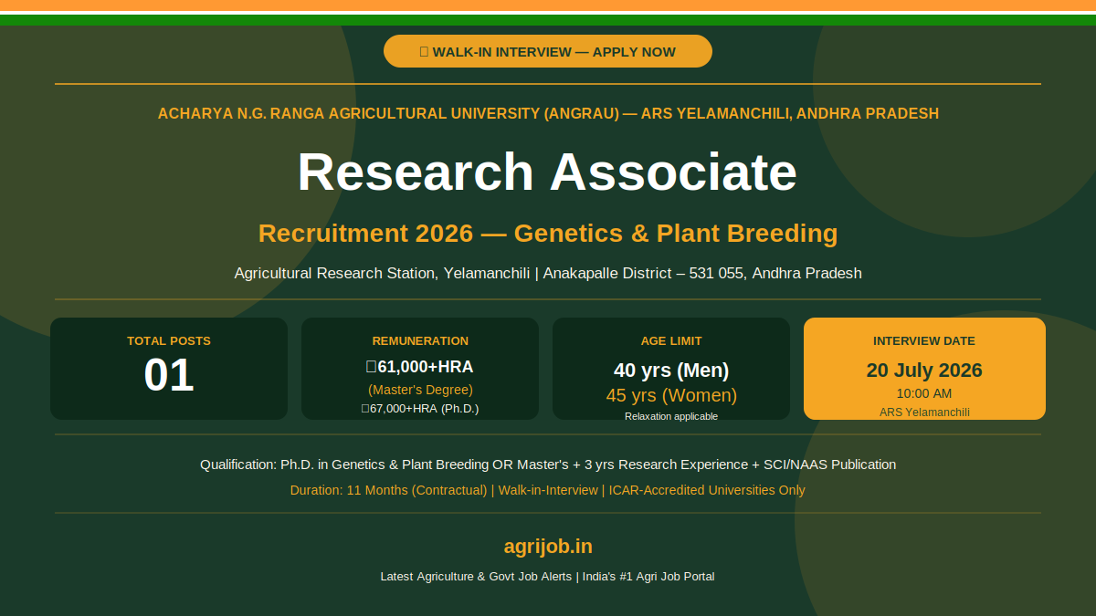 ANGRAU Research Associate Recruitment 2026 Notification Banner – agrijob.in