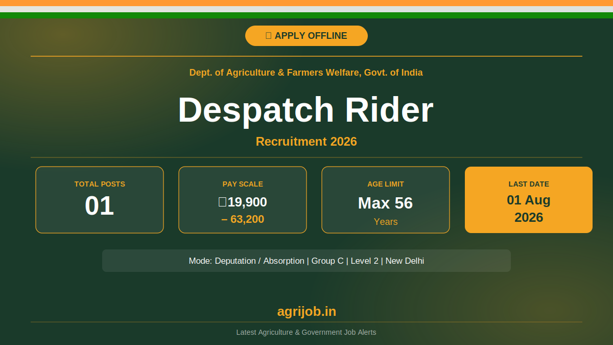 Despatch Rider Recruitment 2026 Notification Banner – agrijob.in