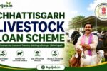 Chhattisgarh Pashupalan Loan Yojana