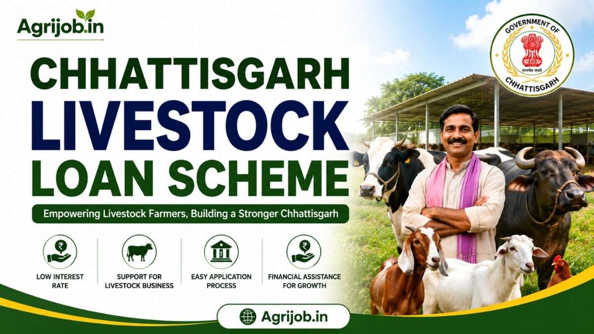 Chhattisgarh Pashupalan Loan Yojana