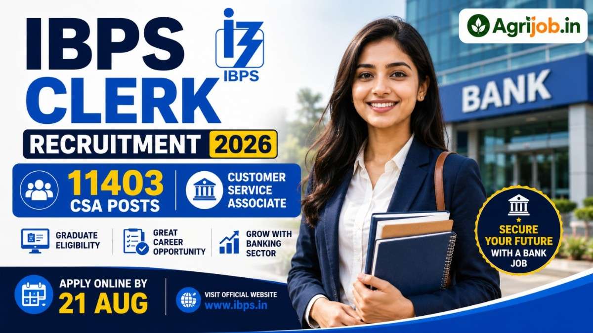 IBPS Clerk Recruitment 2026 – 11403 CSA Posts, Apply Online by 21 Aug