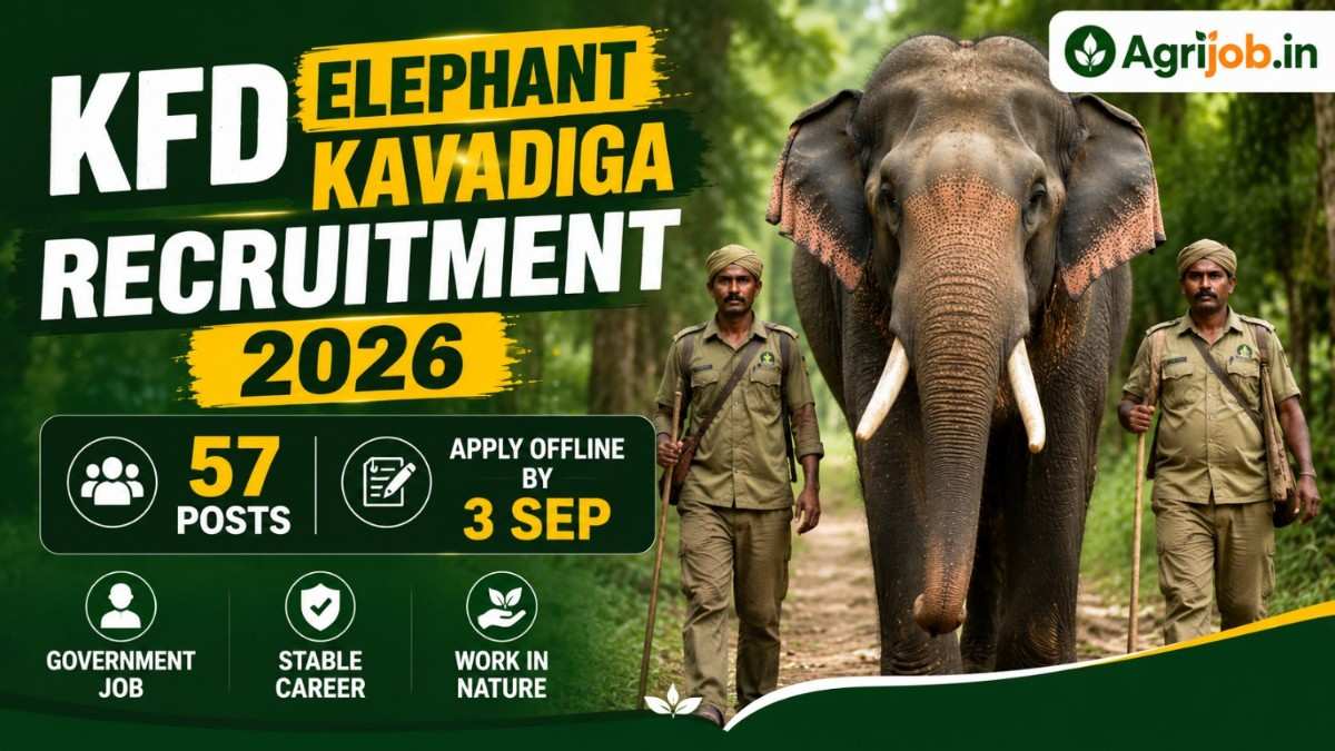 KFD Elephant Kavadiga Recruitment 2026 – 57 Posts, Apply Offline by 3 Sep