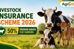 Livestock Insurance Scheme 2026 – 50% Premium Subsidy for Farmers