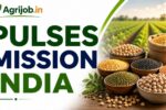 Pulses Mission India