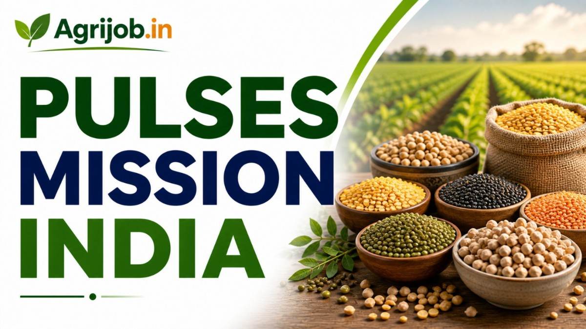 Pulses Mission India