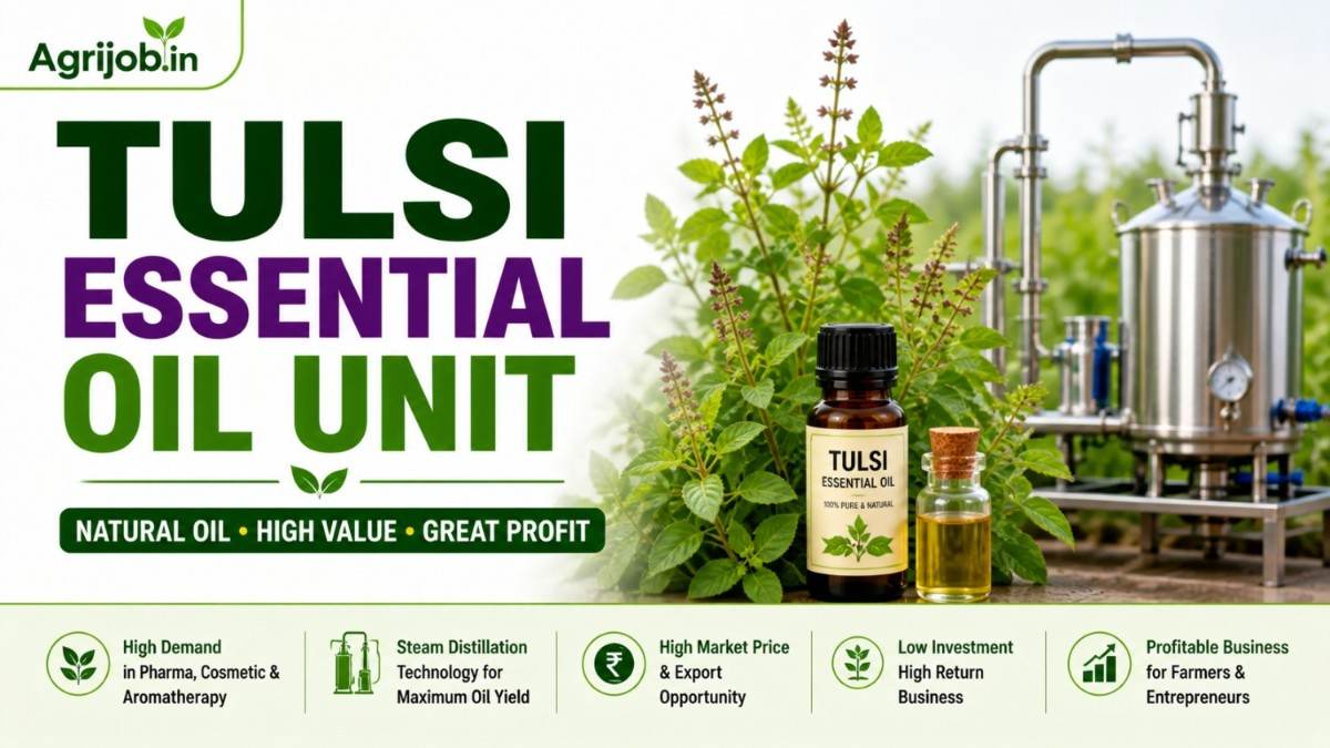 Tulsi Essential Oil Unit
