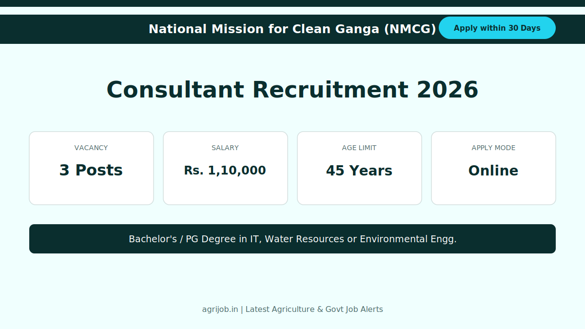 NMCG Consultant Recruitment 2026 Vacancy Overview Infographic - agrijob.in