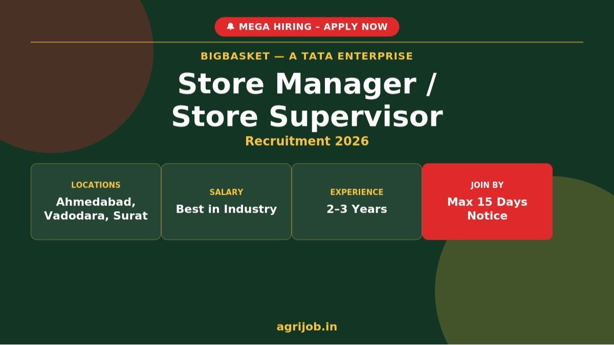 BigBasket Store Manager Recruitment 2026 - Mega Hiring Alert