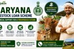 Haryana Pashupalan Loan Yojana