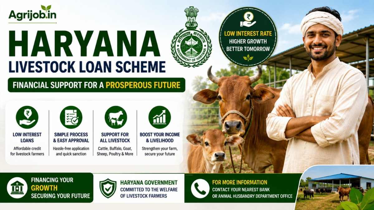 Haryana Pashupalan Loan Yojana