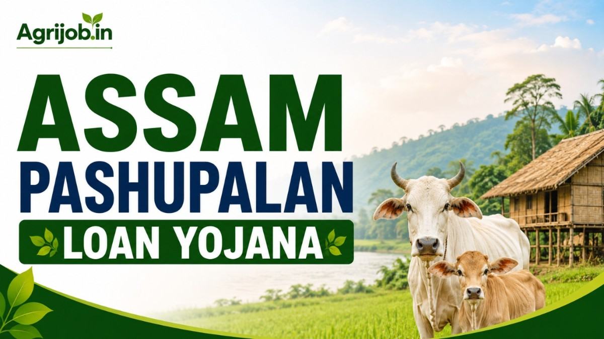 Assam Pashupalan Loan Yojana