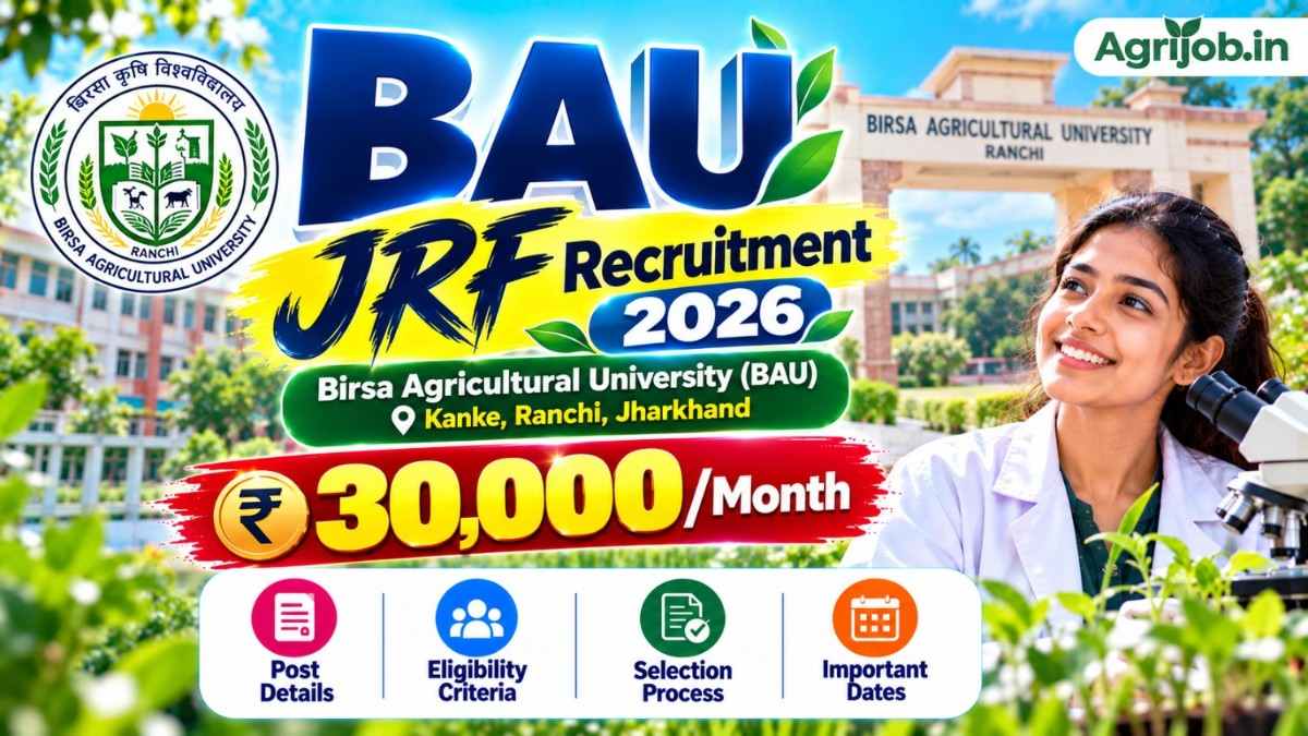 BAU JRF Recruitment 2026 – Rs.30,000Month