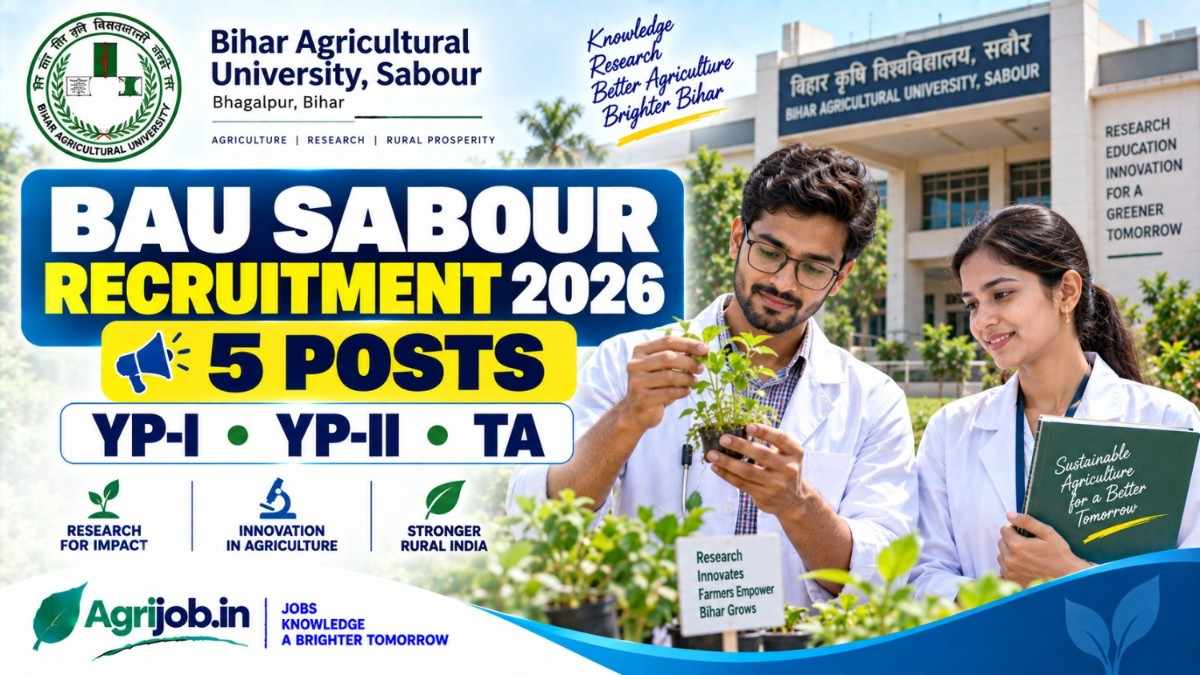 BAU Sabour Recruitment 2026