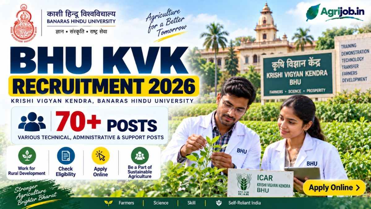 BHU KVK Recruitment 2026