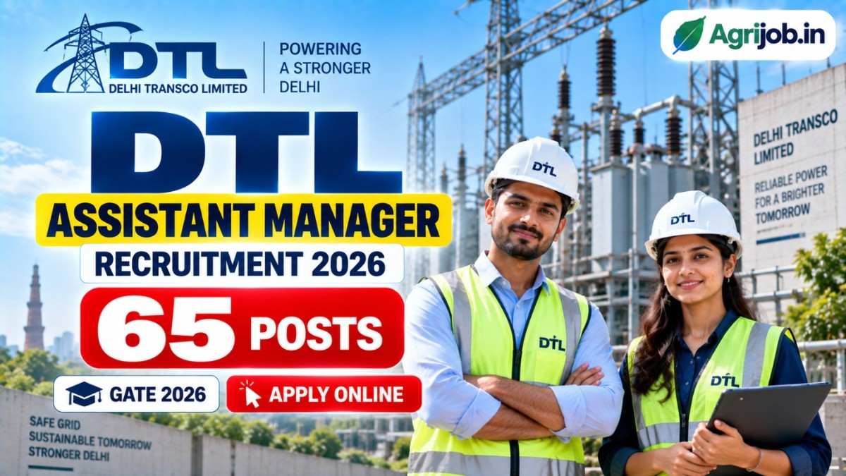 DTL Assistant Manager Recruitment 2026