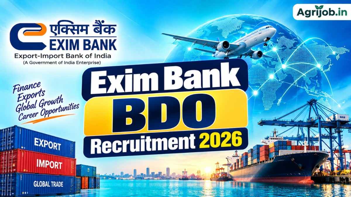 Exim Bank BDO Recruitment 2026