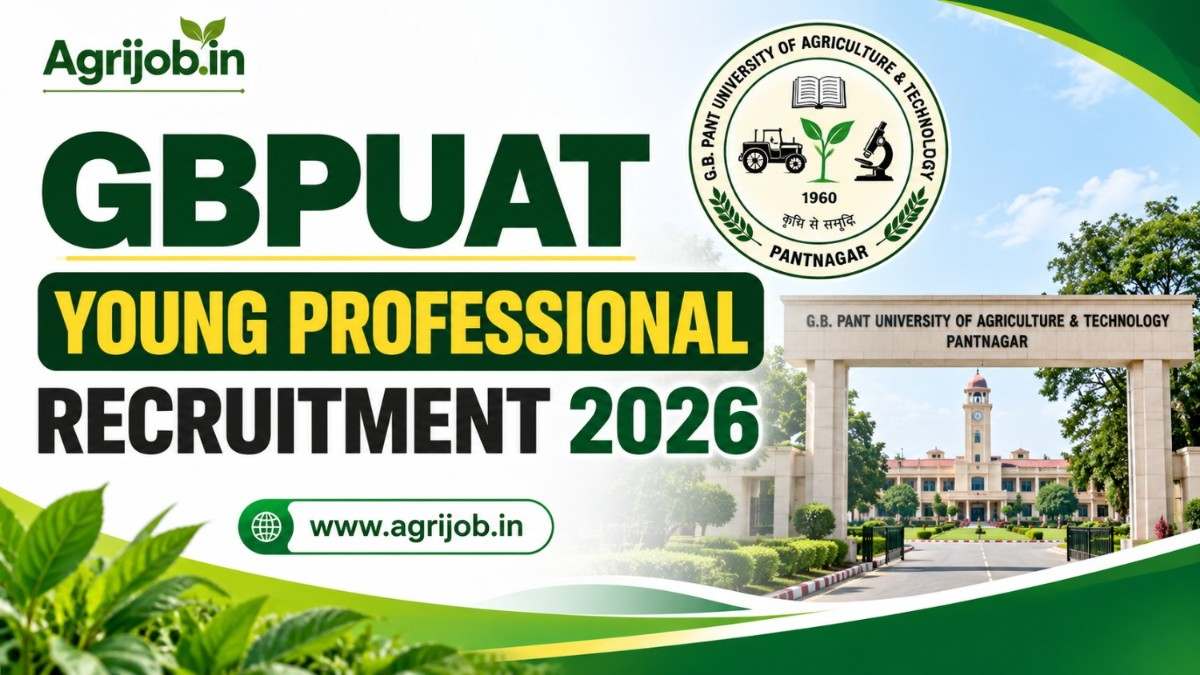 GBPUAT Young Professional Recruitment 2026
